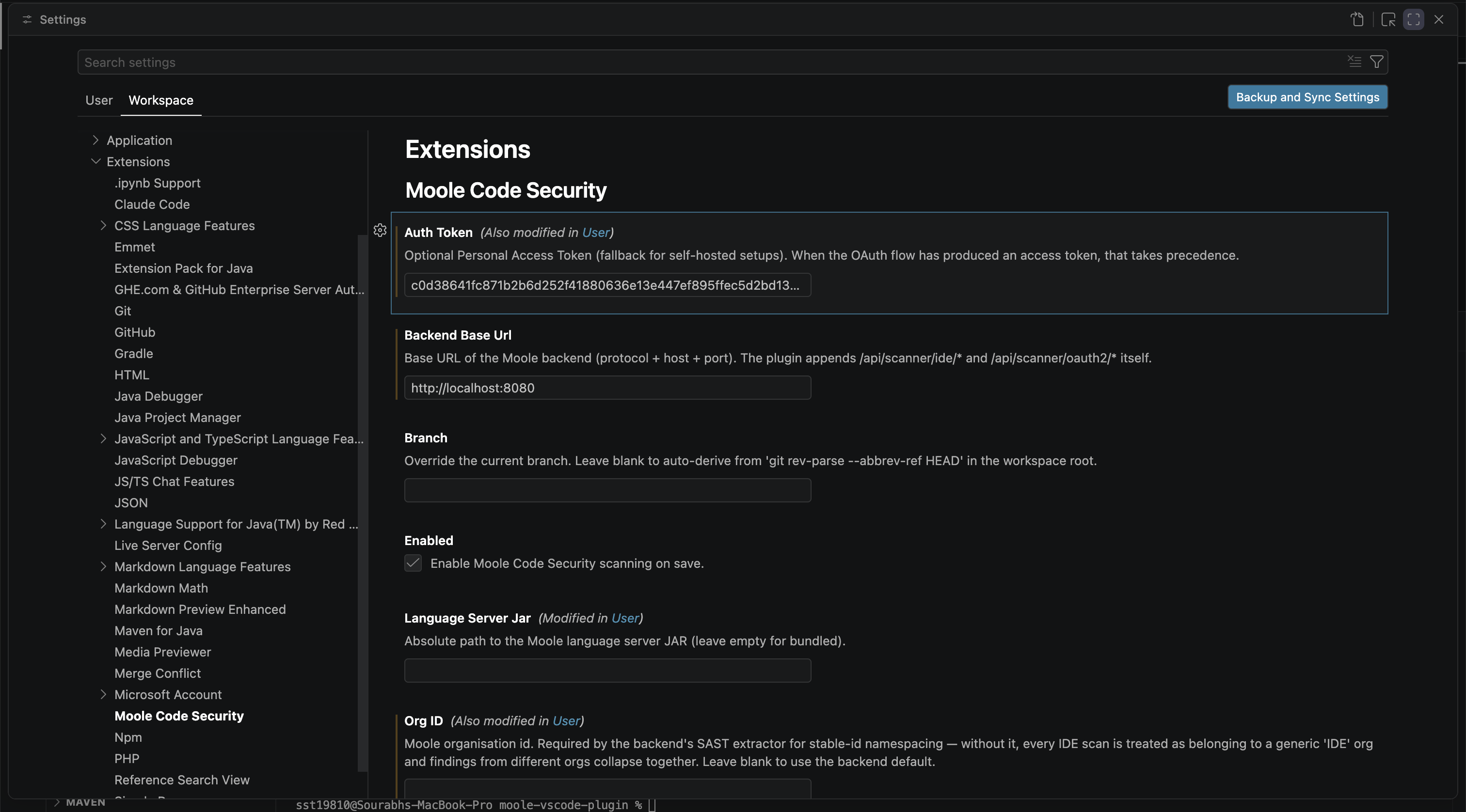 VS Code Moole Code Security extension settings